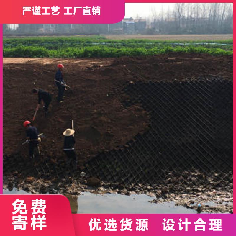 蜂巢格室土工膜實(shí)力廠商