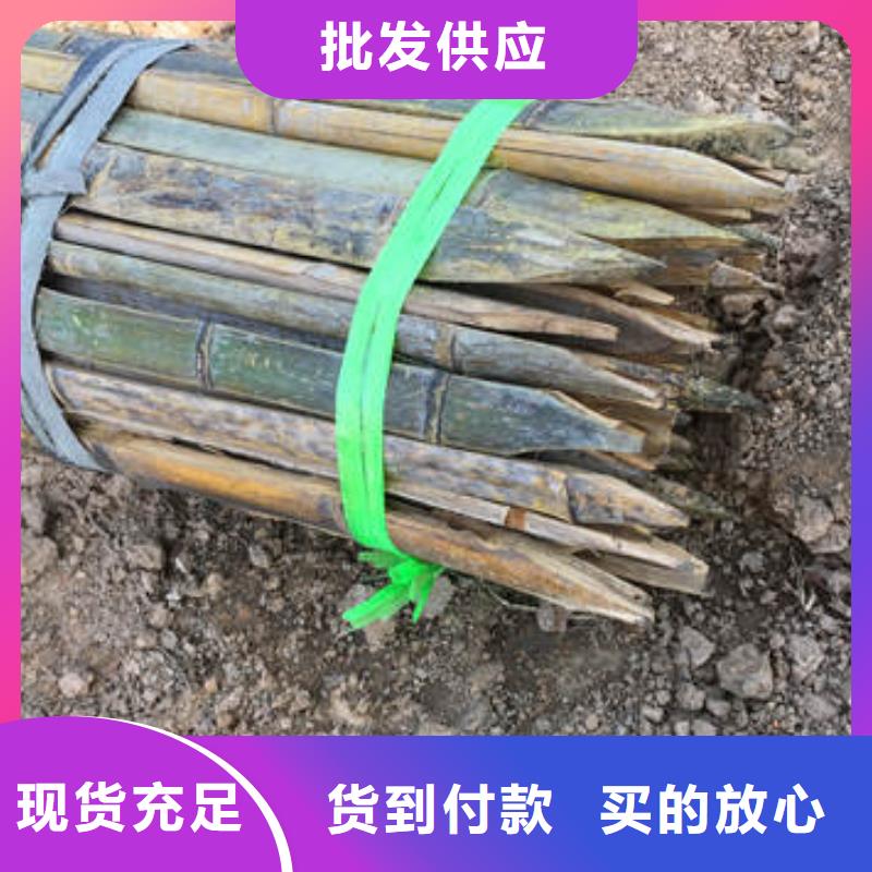蜂巢格室 土工格柵廠家貨源