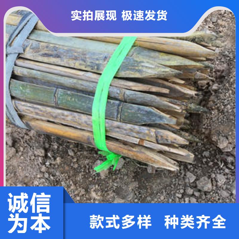 蜂巢格室_土工格柵誠信經(jīng)營現(xiàn)貨現(xiàn)發(fā)
