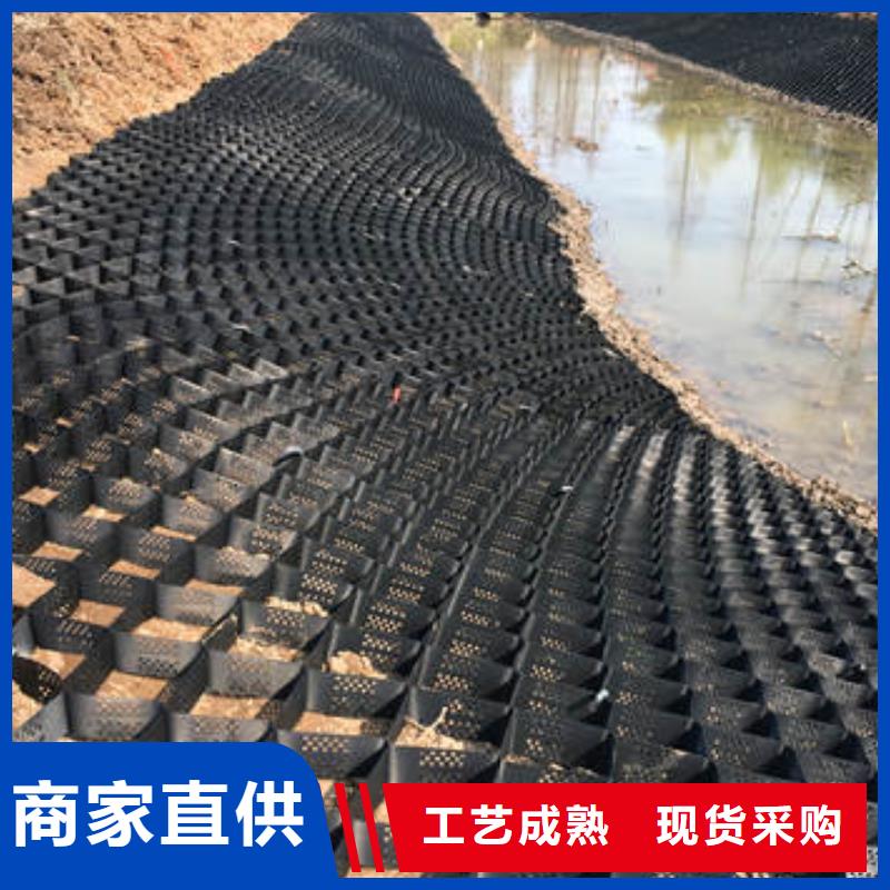 蜂巢格室玻璃纖維土工格柵現(xiàn)貨充足量大優(yōu)惠