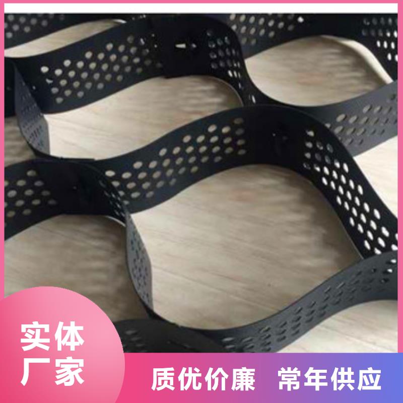 蜂巢格室玻璃纖維土工格柵實(shí)力派廠家