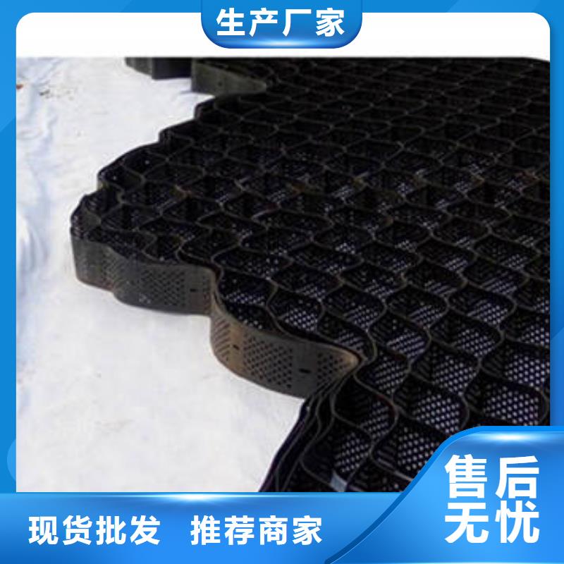 蜂巢格室塑料土工格室價(jià)格公道合理