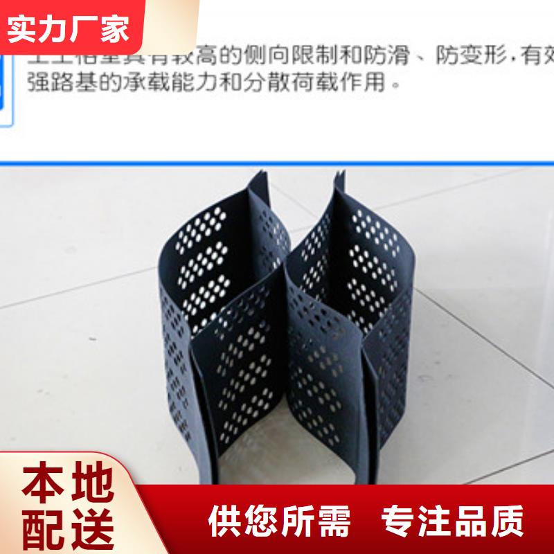 蜂巢格室三維植被網(wǎng)廠家精選