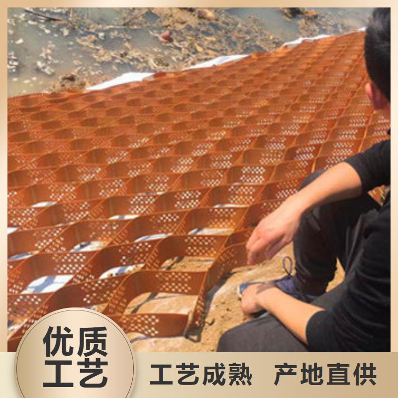 蜂巢格室 土工格室实体厂家