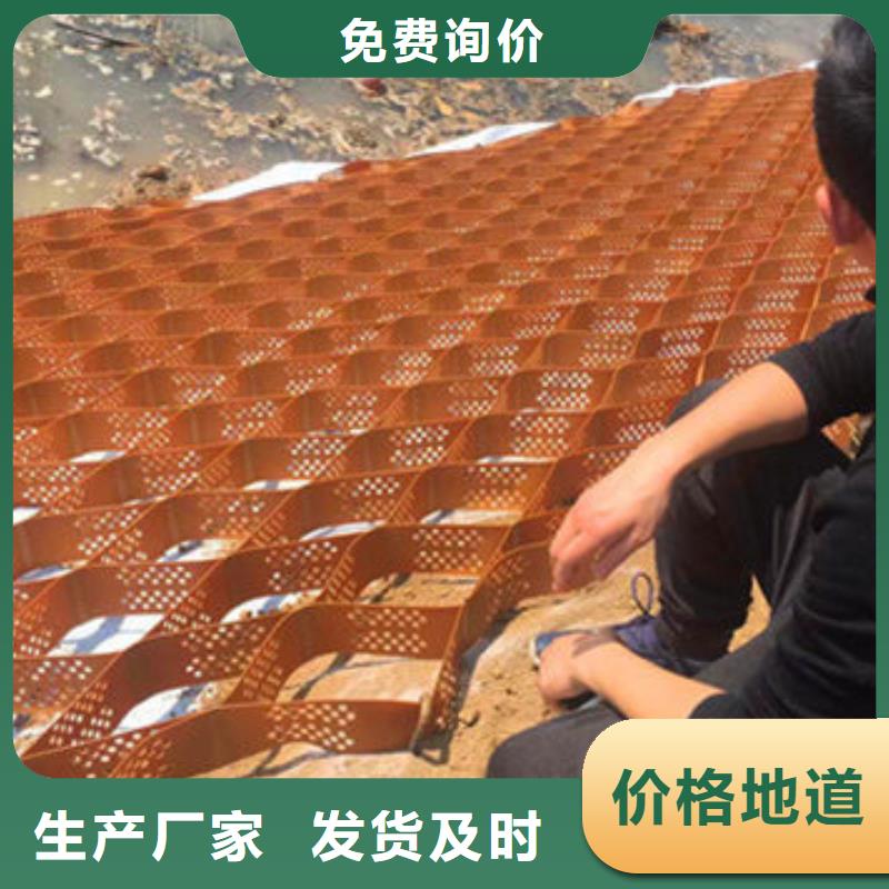 高分子土工格室100mm源頭底價