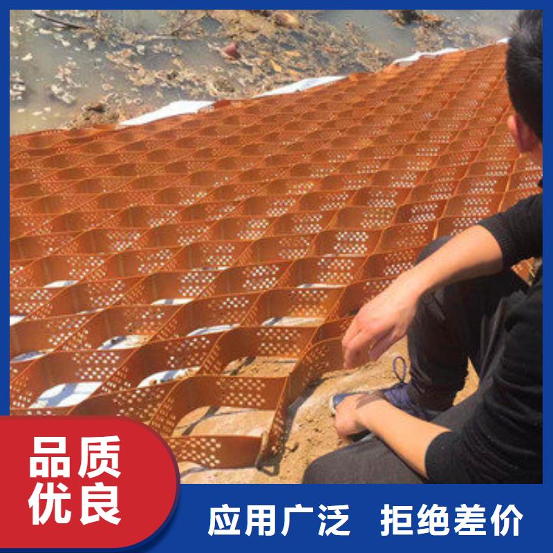 蜂巢格室玻纤土工格栅专业完善售后