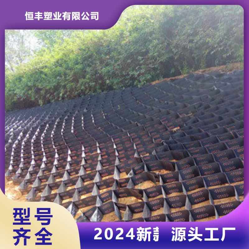 蜂巢格室 HDPE復(fù)合排水板好貨直供