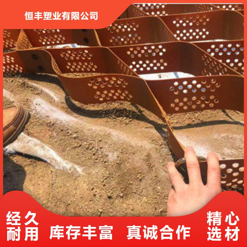 蜂巢格室-土工格室產(chǎn)地源頭好貨