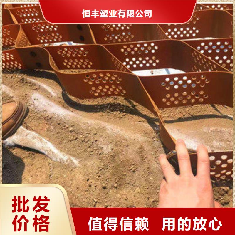 蜂巢格室 土工格室产品参数