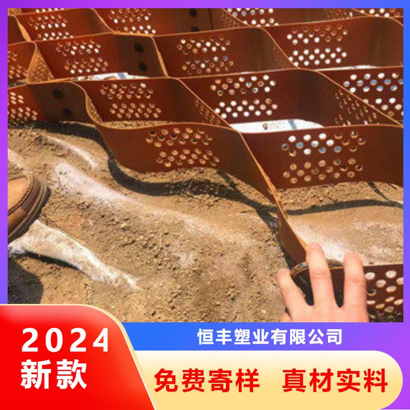 蜂巢格室蜂格网联系厂家