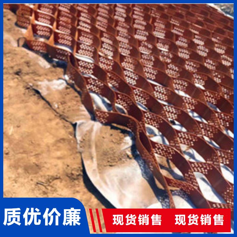 蜂巢格室玻纤土工格栅专业完善售后