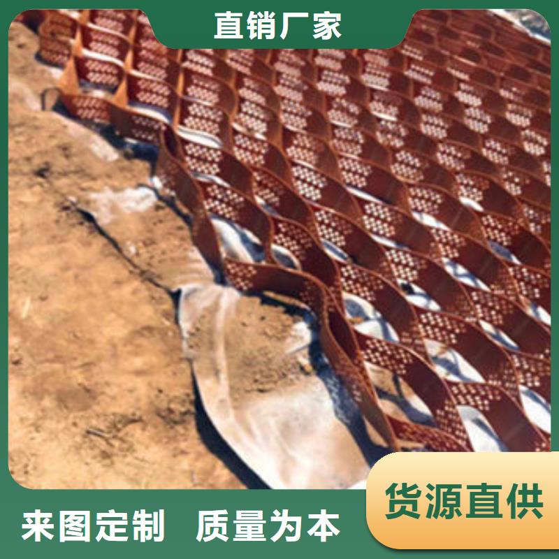 蜂巢格室玻璃纖維土工格柵實(shí)力派廠家