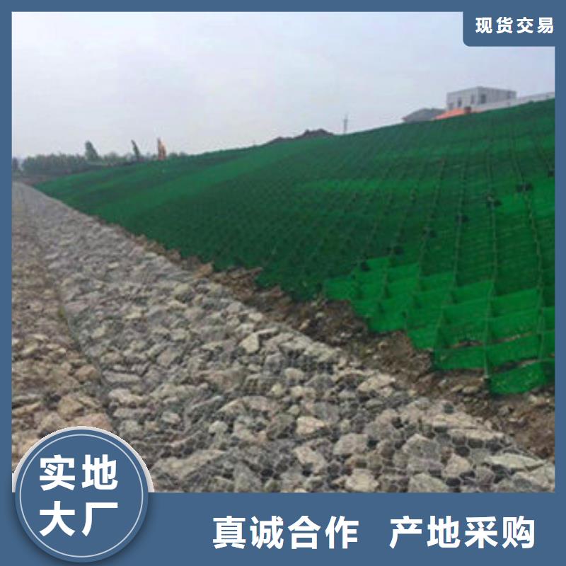 蜂巢格室蜂格网海量库存