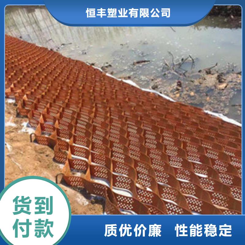 蜂巢格室生態(tài)帶原廠制造