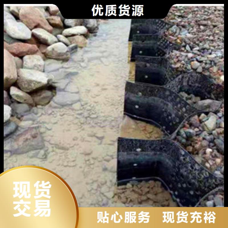 【蜂巢格室】钢塑土工格栅严谨工艺