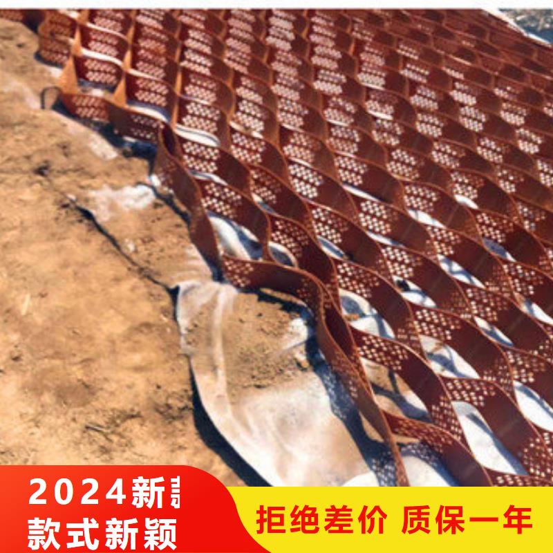 蜂巢格室-三维植被网海量货源