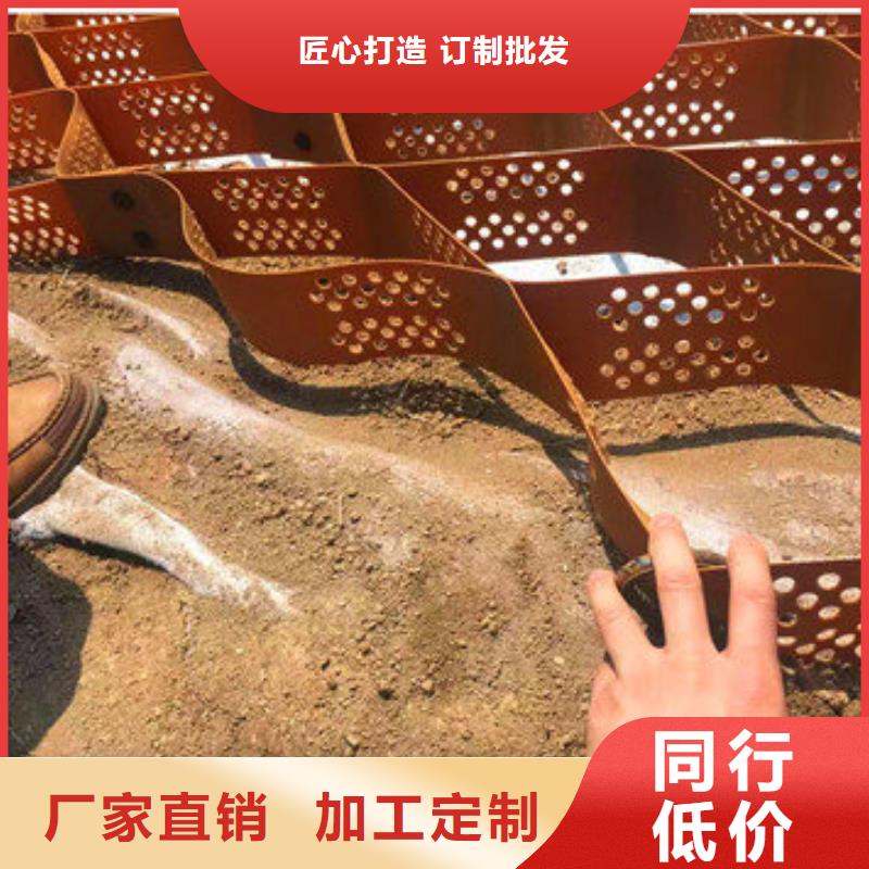 蜂巢格室【塑料土工格室】現(xiàn)貨充裕