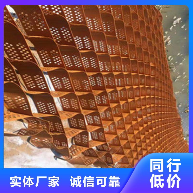 【蜂巢格室 蜂格網(wǎng)源廠供貨】