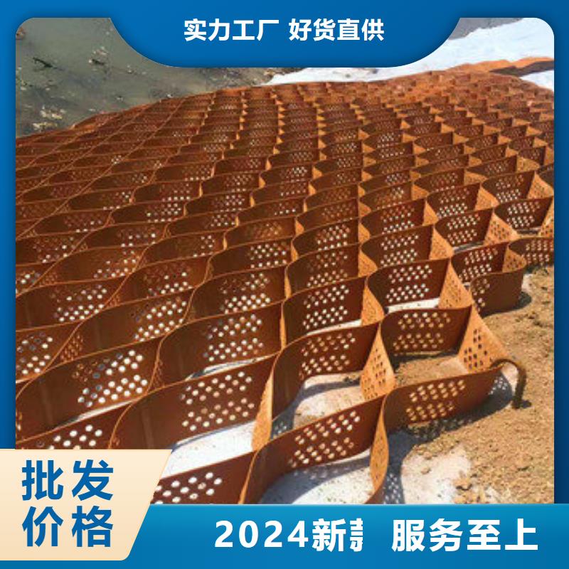 蜂巢格室塑料土工格室当日价格