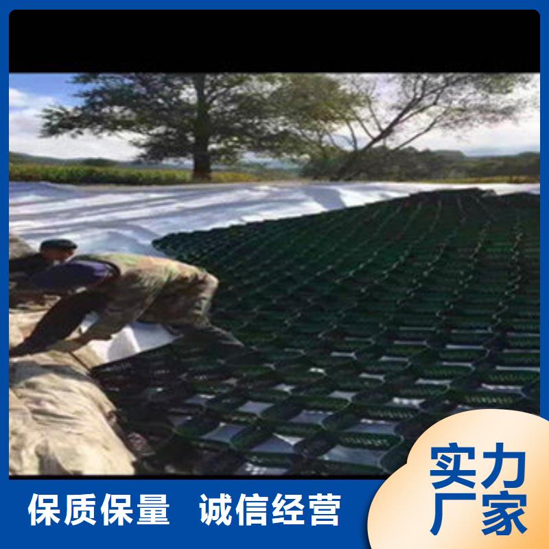 蜂巢格室塑料土工格室当日价格