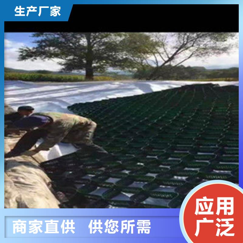 蜂巢格室-蜂格网工厂直供