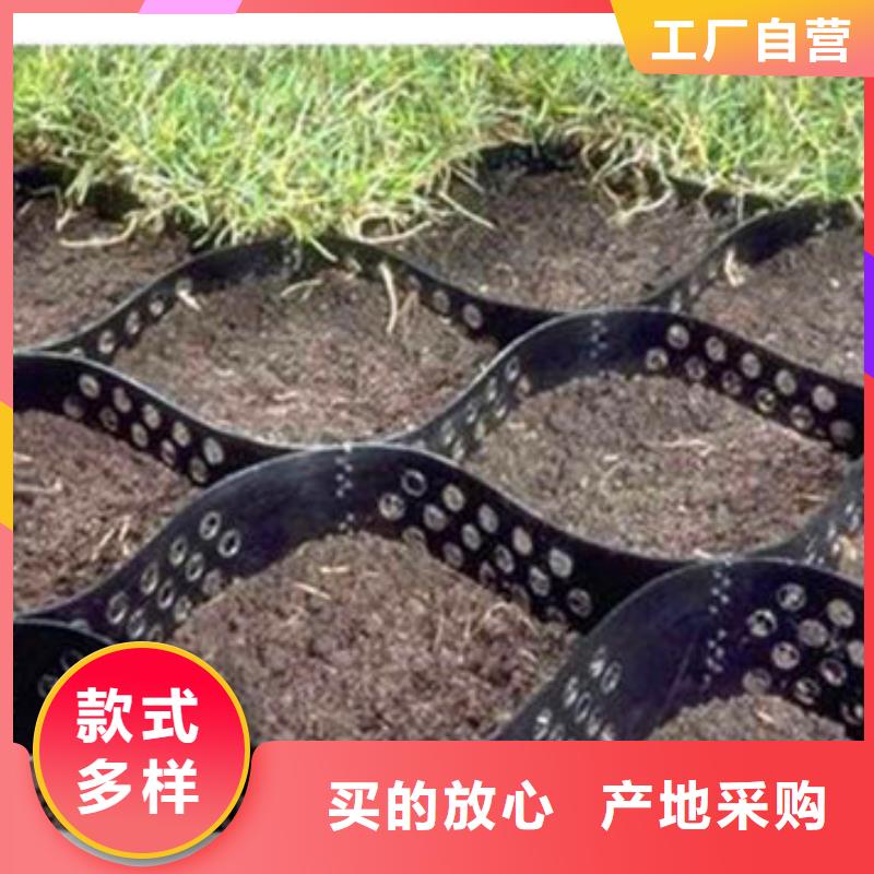 【蜂巢格室】塑料土工格室N年大品牌