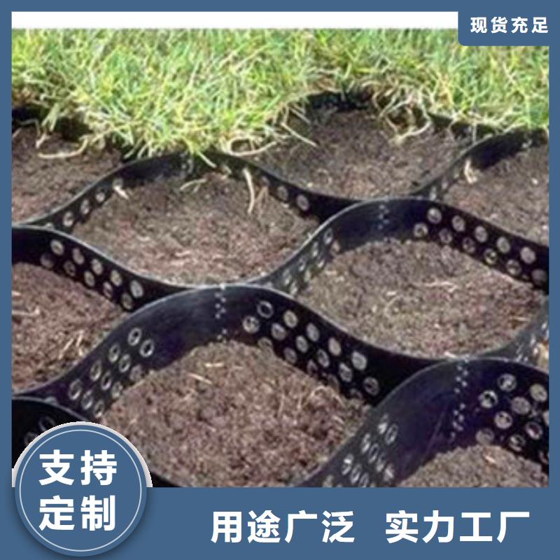 蜂巢格室土工格室性能穩(wěn)定
