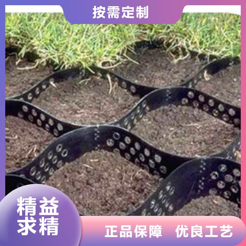 蜂巢格室生态带直销厂家