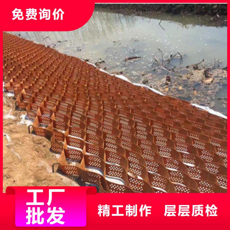 蜂巢格室 網(wǎng)格布海量現(xiàn)貨