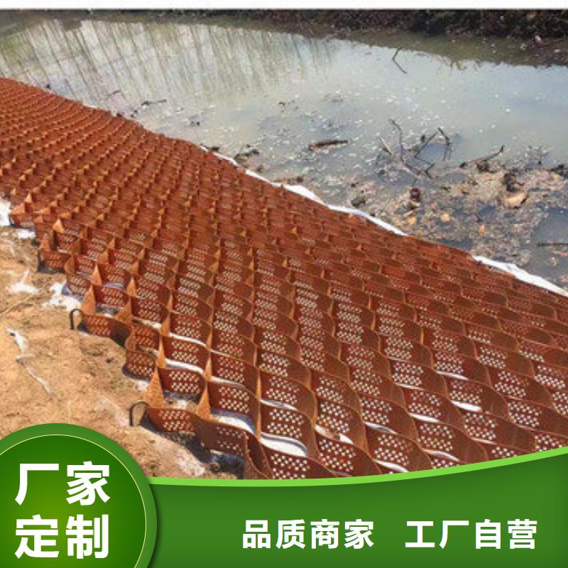 【蜂巢格室塑料土工格室物美价优】
