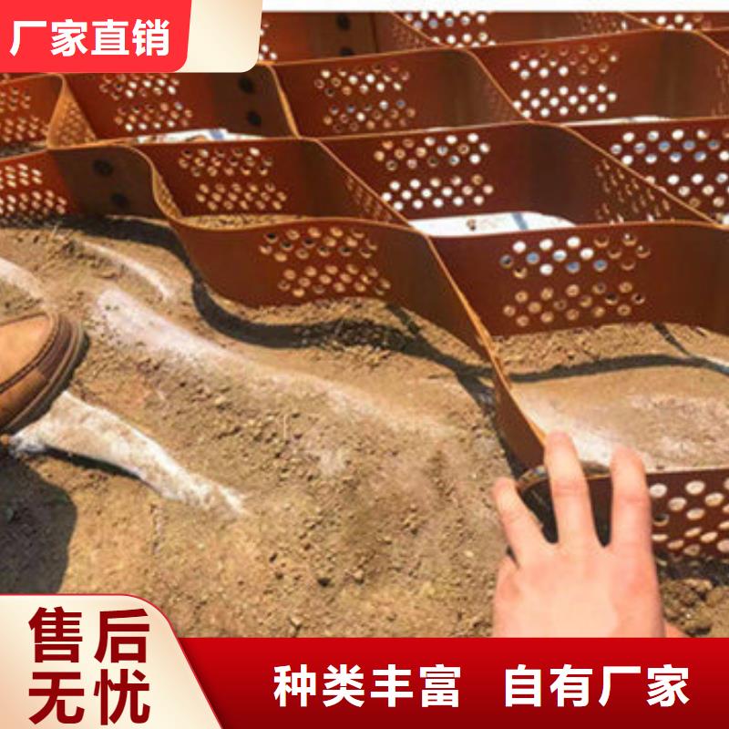 蜂巢格室_玻璃纖維土工格柵同行低價