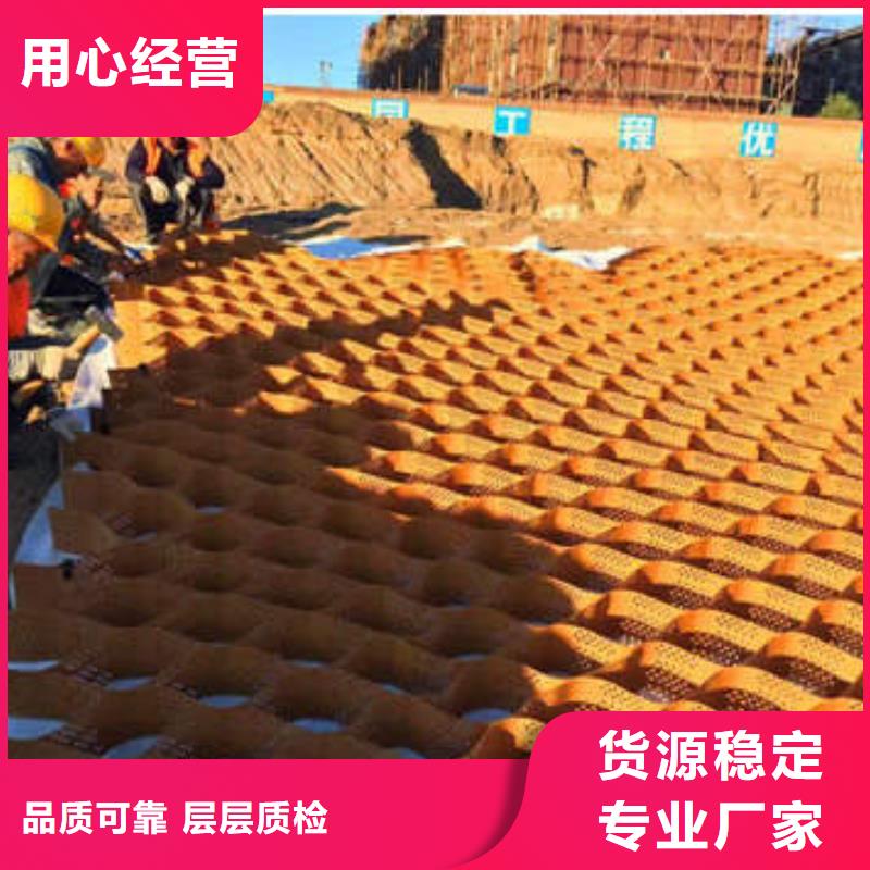 蜂巢格室,塑料土工格室大量现货