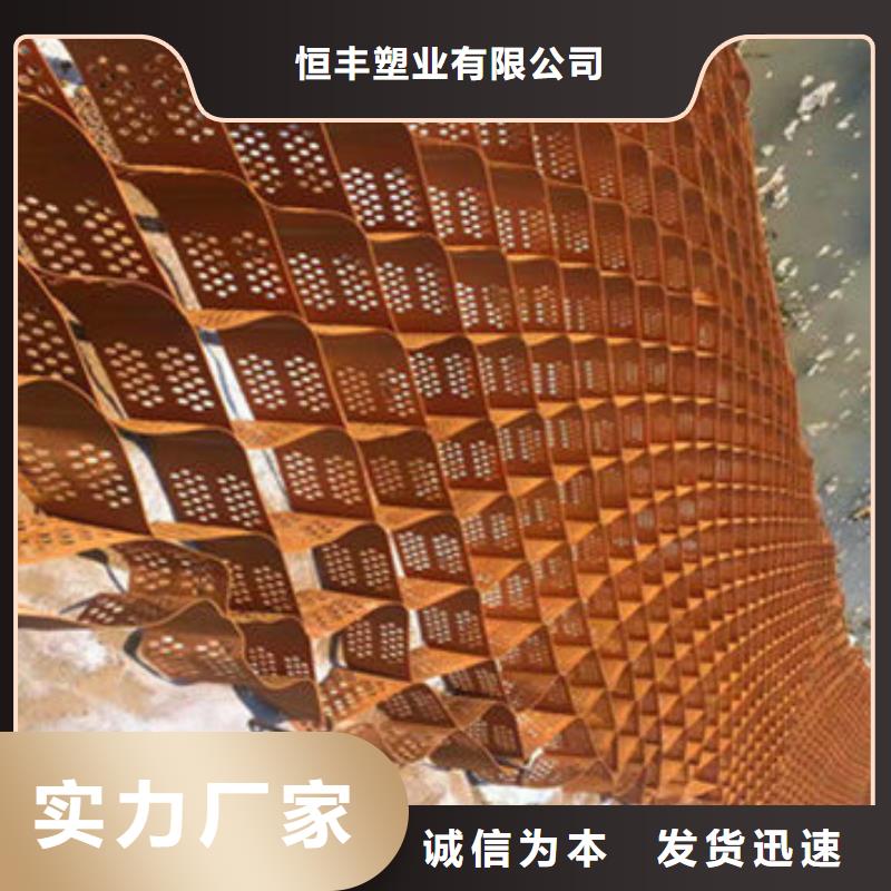 蜂巢格室【玻纖土工格柵】專業(yè)生產(chǎn)團隊