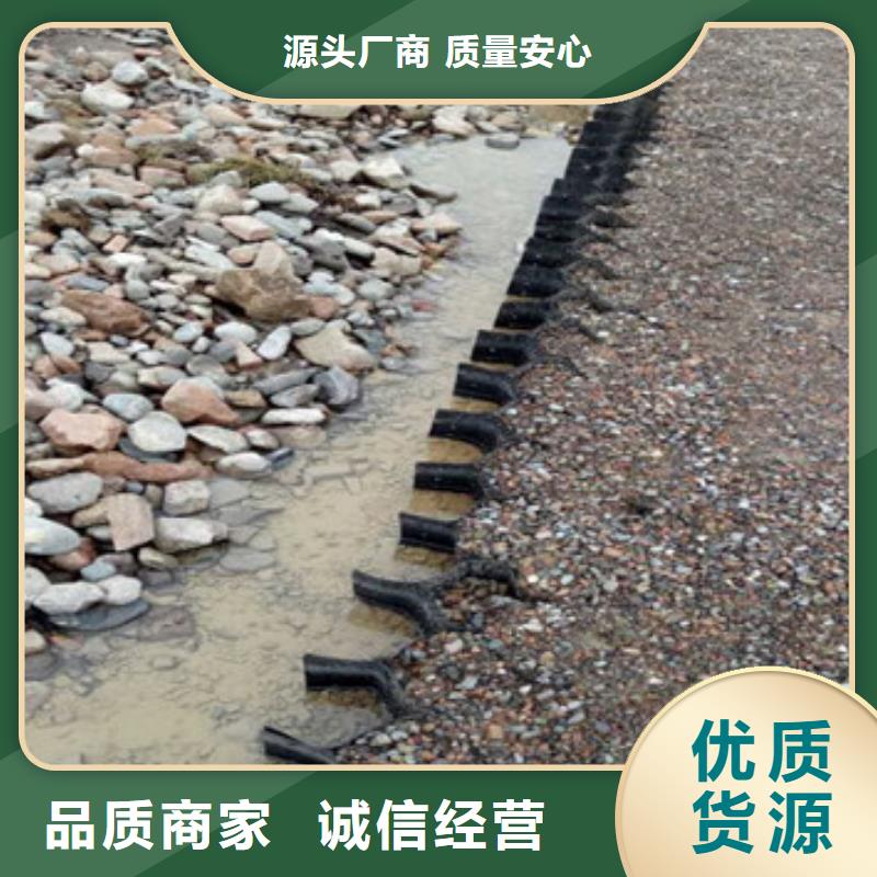 蜂巢格室_土工網(wǎng)廠家直營