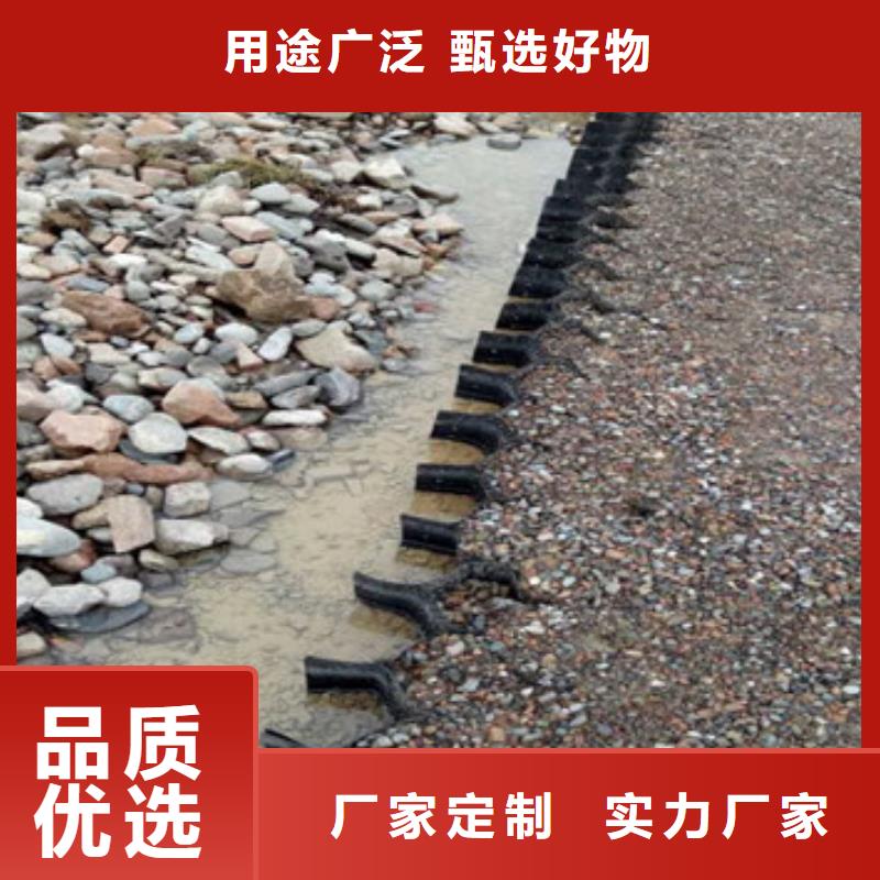  蜂巢格室实力商家