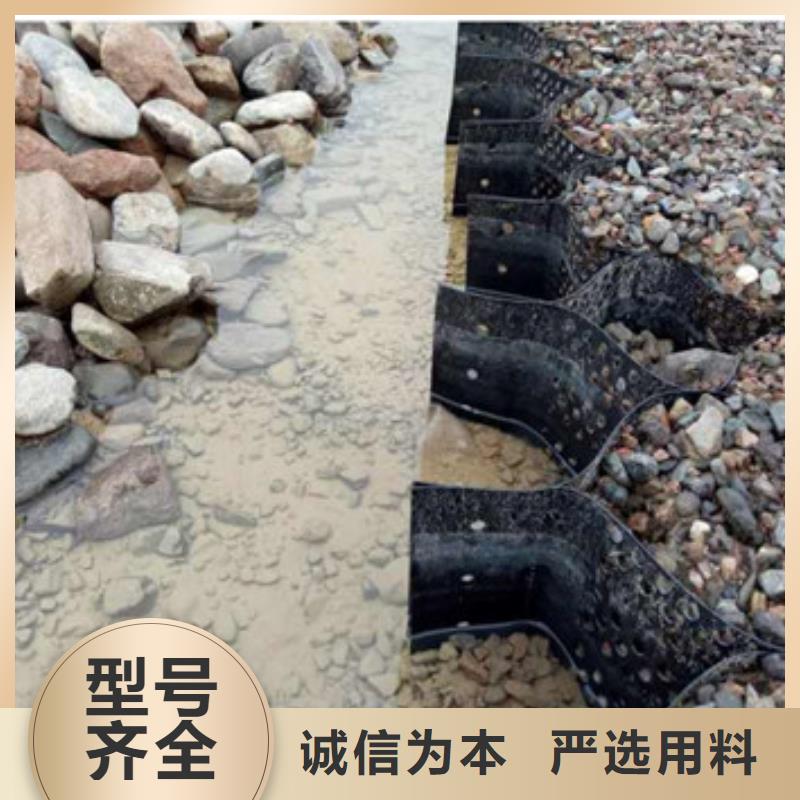  蜂巢格室多年經(jīng)驗(yàn)值得信賴