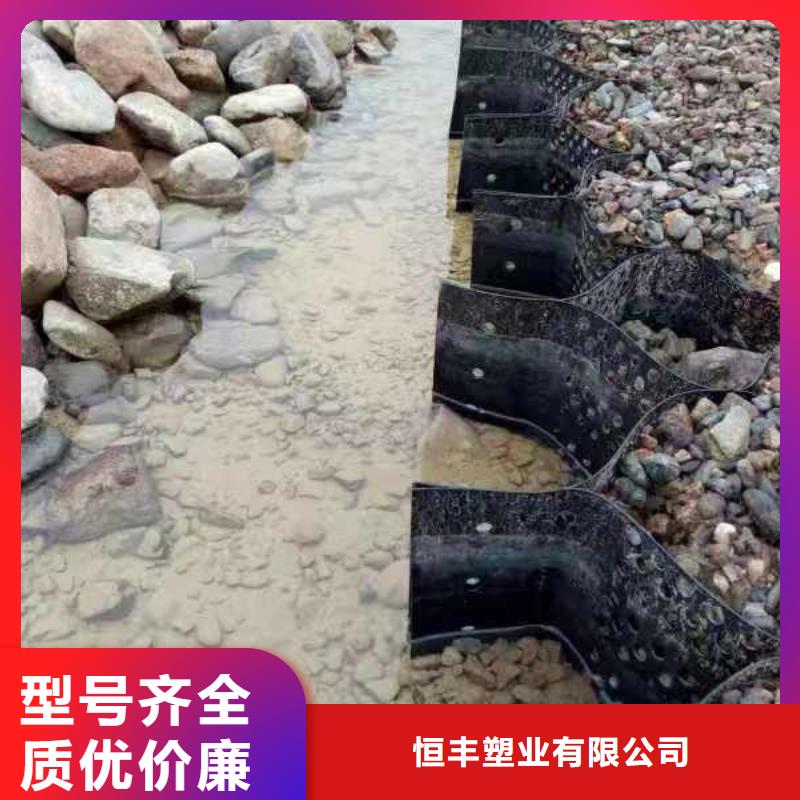蜂巢格室-土工格室產(chǎn)地源頭好貨