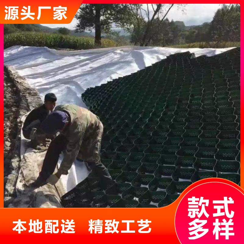 蜂巢格室双向塑料土工格栅服务周到