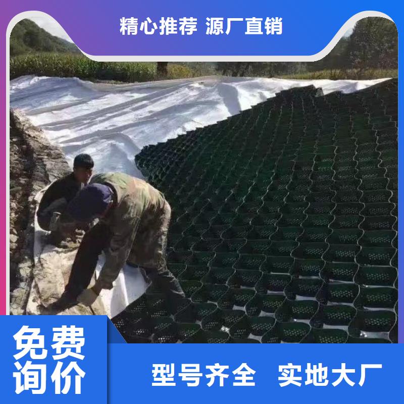 蜂巢格室-蜂巢格賓網(wǎng)量大從優(yōu)