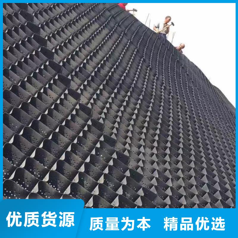 蜂巢格室土工格柵量大從優(yōu)
