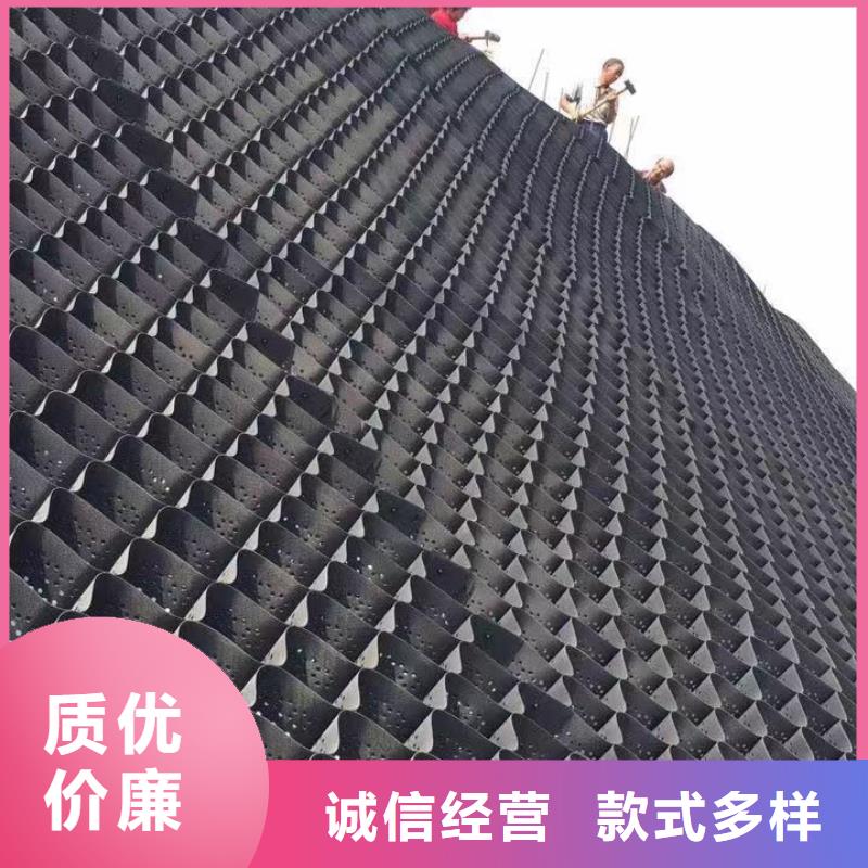蜂巢格室选择我们没错
