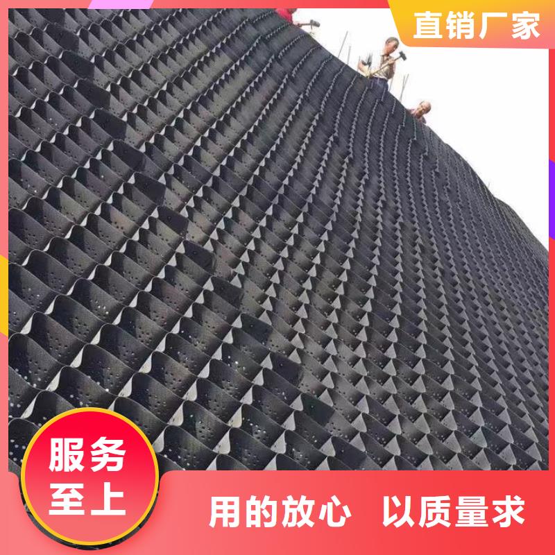 蜂巢格室土工膜實(shí)力廠(chǎng)商