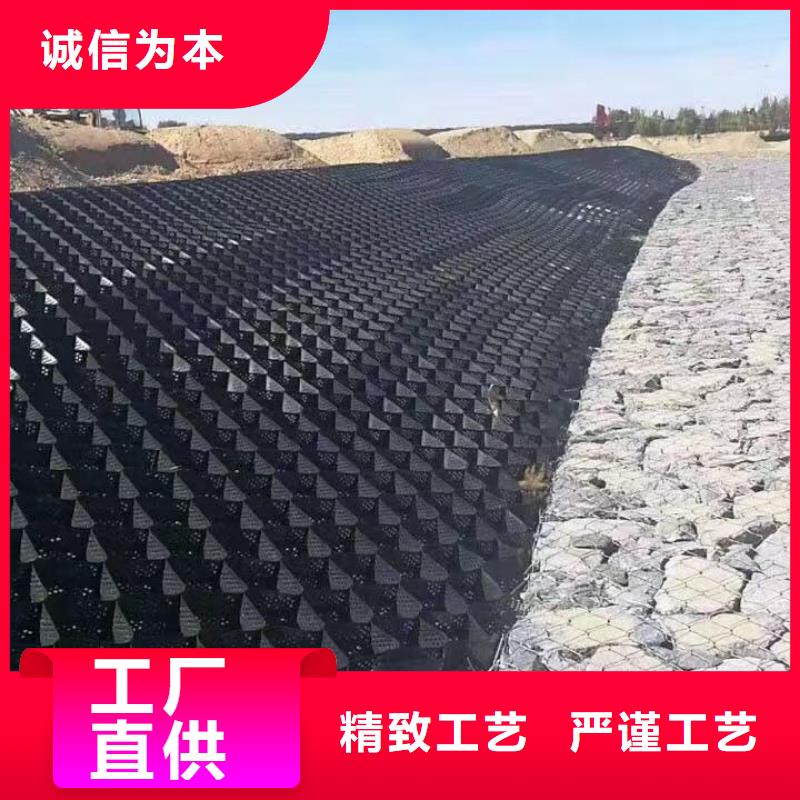 蜂巢格室土工膜實(shí)力廠(chǎng)商