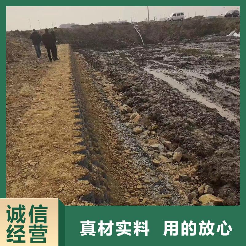 蜂巢格室土工格室性能穩(wěn)定