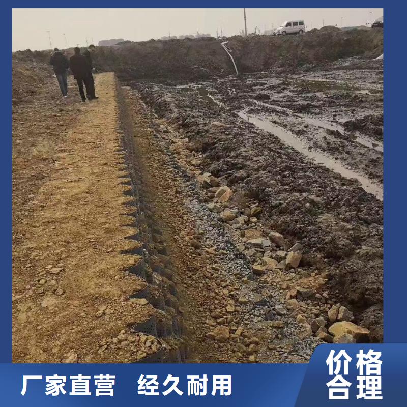蜂巢格室塑料土工格室價(jià)格公道合理