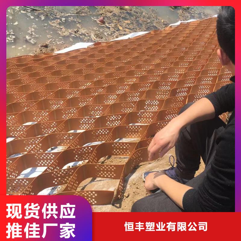 蜂巢格室塑料土工格室價(jià)格公道合理