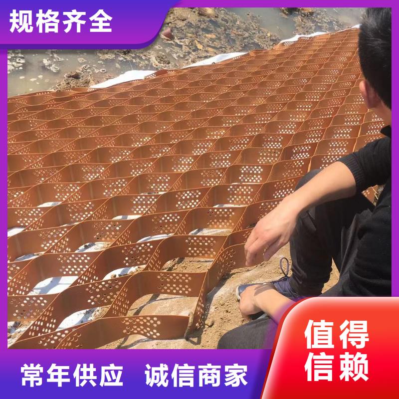 蜂巢格室土工膜實(shí)力廠(chǎng)商