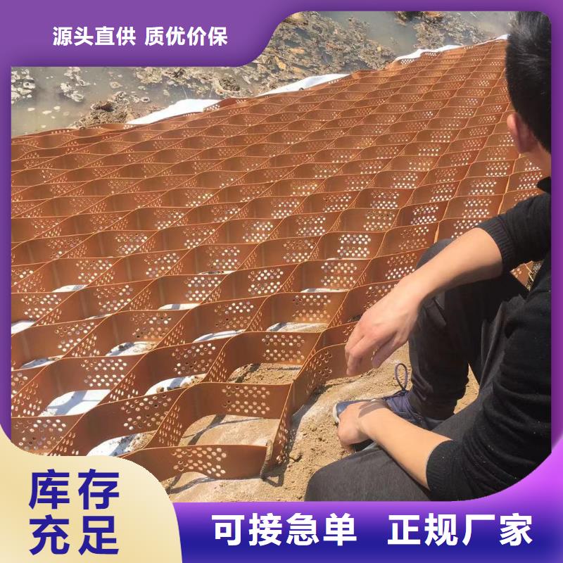 高分子土工格室100mm源頭底價
