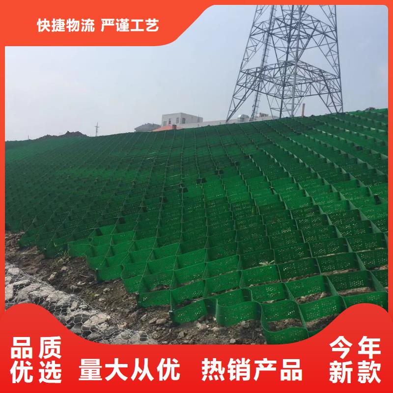 蜂巢格室塑料土工格室價(jià)格公道合理