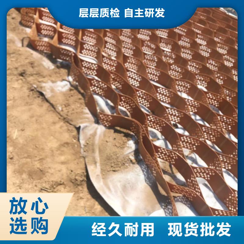 蜂巢格室 土工格室質(zhì)量牢靠